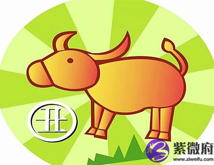 属牛人出生月的命运