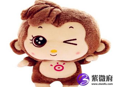 属猴男找女朋友的标准