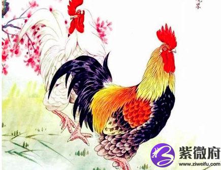 属鸡男找女朋友的标准