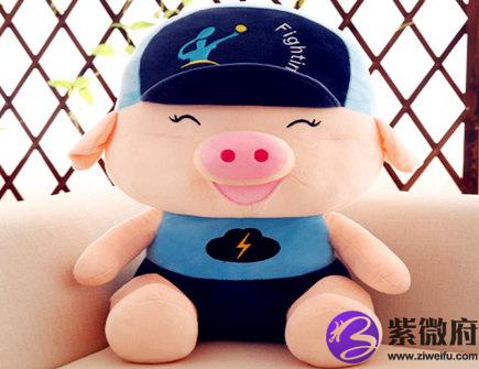 属猪男找女朋友的标准