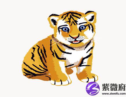 属虎女找男朋友的标准