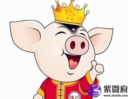 属猪招财必备的法宝
