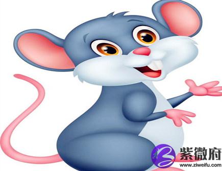 属鼠男对待感情的态度