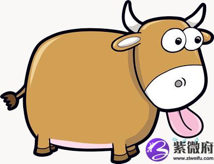 属牛男找女朋友的标准