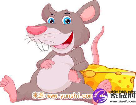 属鼠人佩戴什么旺财