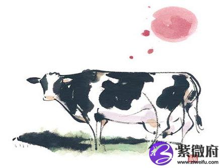 属牛招财必备的法宝