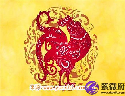 属鸡2020年会遇到哪些灾难