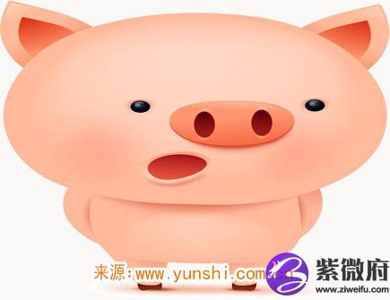 属猪2020年会遇到哪些灾难