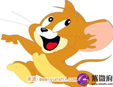 属鼠最吸引人的地方