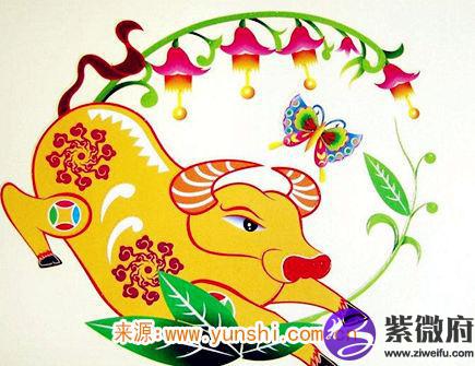 属牛最吸引人的地方
