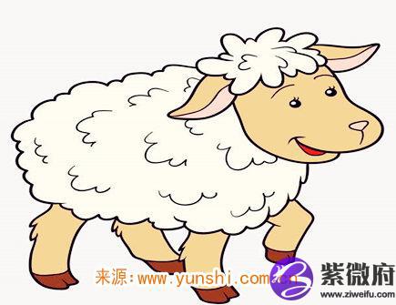 属羊最吸引人的地方
