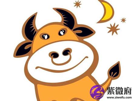 属牛2020年会遇到哪些灾难
