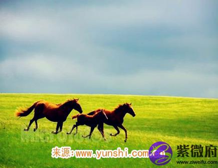 属马2020年会遇到哪些灾难