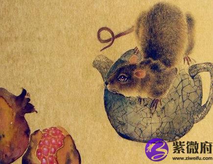 属鼠2020年的贵人有哪些