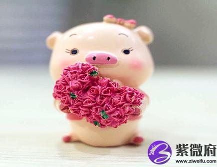 属猪人2021年结婚好吗