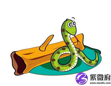 2021年属蛇财运如何