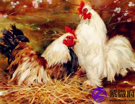 2021年属鸡财运如何