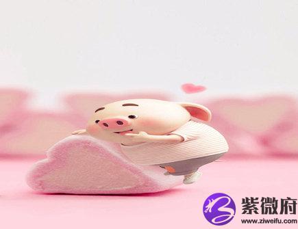 2021年属猪财运如何