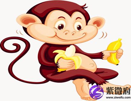 属猴女人的感情弱点