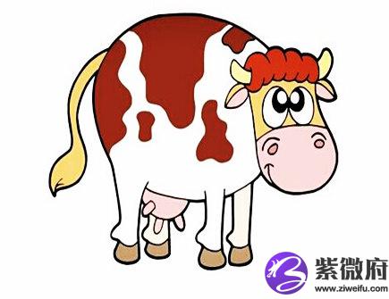 属牛男人的感情弱点