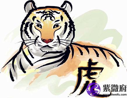 属虎男人的感情弱点
