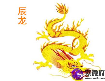 属龙人的办公室布局