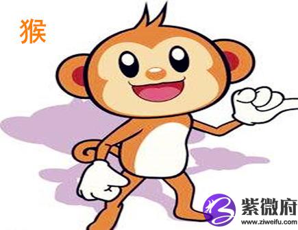 属猴人的办公室布局