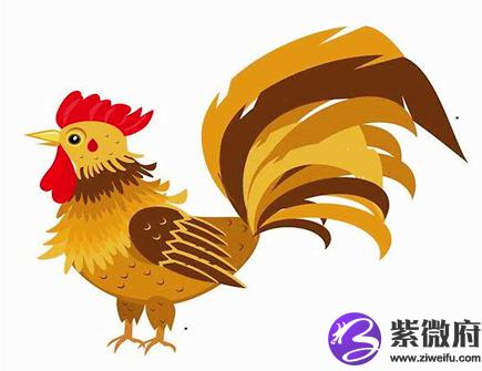 属鸡人的办公室布局