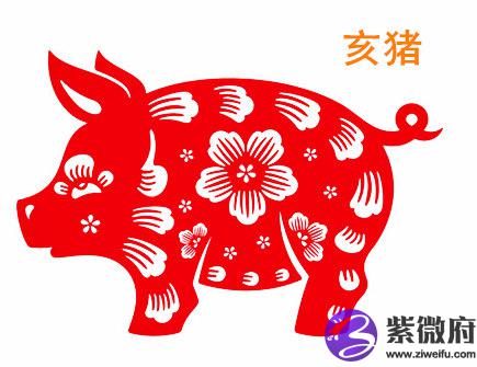 属猪人的办公室布局