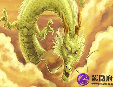 属龙人家里养什么植物好