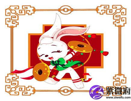 属兔人家里养什么植物好