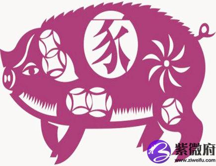 属猪人家里养什么植物好
