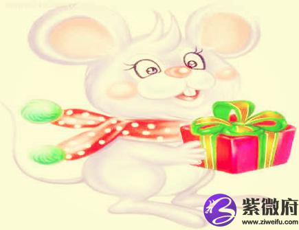 属鼠人的办公室布局