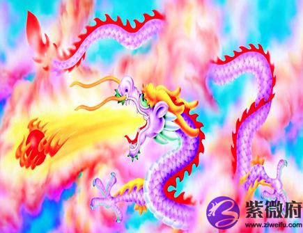 属龙人家里摆放什么好