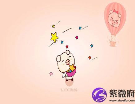 属猪人家里摆放什么好