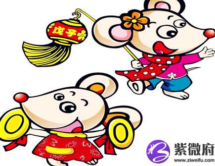 属鼠人家里养什么植物好
