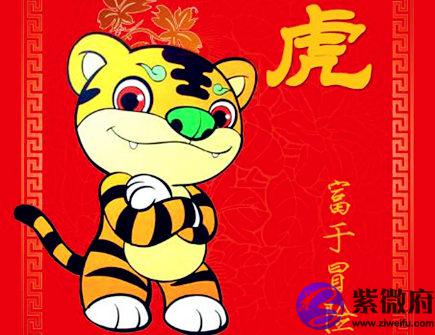 属虎人家里养什么植物好