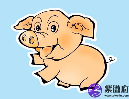 属猪人养鱼有什么讲究