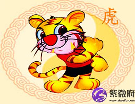 属虎人家里摆放什么好