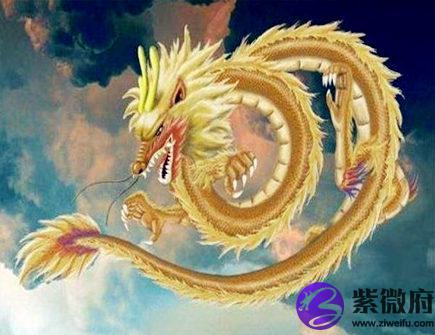 属龙的本命佛是什么