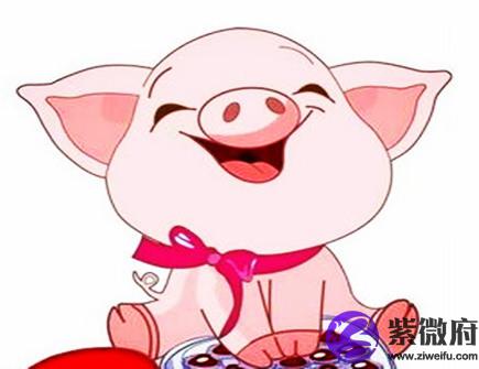 属猪的本命佛是什么
