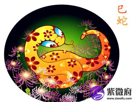 生肖蛇哪个月份最苦