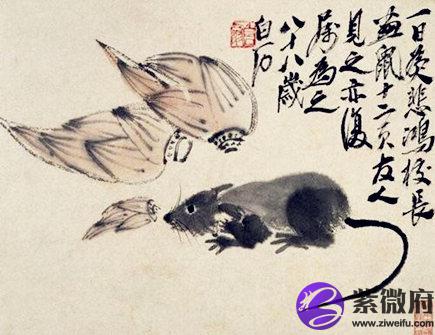 属鼠的本命佛是什么