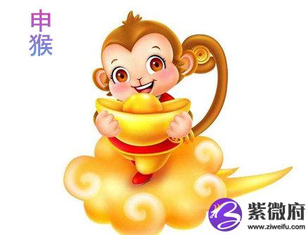 生肖属猴的人长相如何