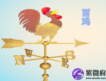 生肖属鸡的人长相如何