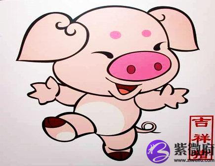 生肖属猪的人长相如何