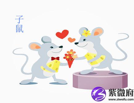 生肖鼠哪月份出生命好
