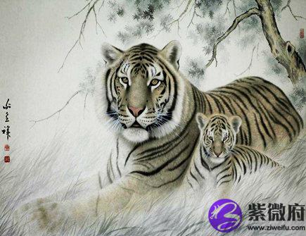生肖虎哪个月份最苦