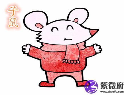 生肖属鼠的人长相如何