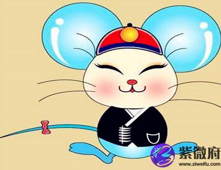 属鼠遇小人怎么办